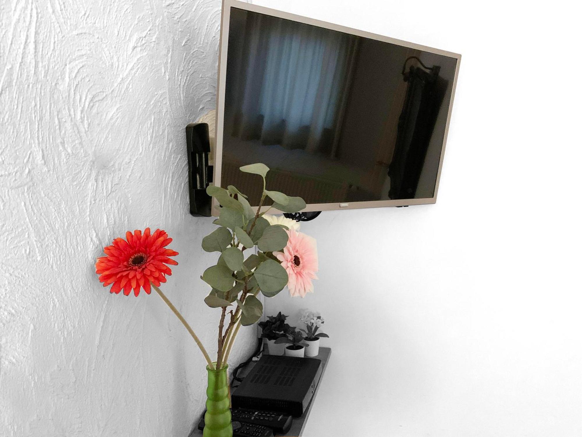 B&B En Vakantiewoningen 'T Wienhoes Wittem 外观 照片