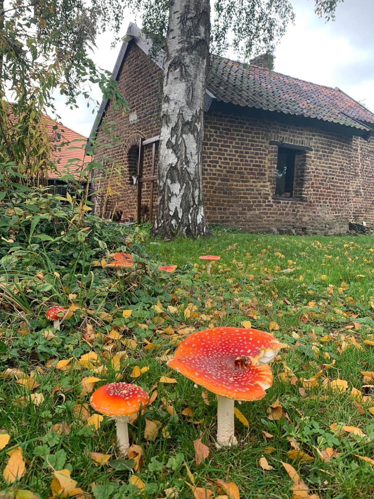 B&B En Vakantiewoningen 'T Wienhoes Wittem 外观 照片
